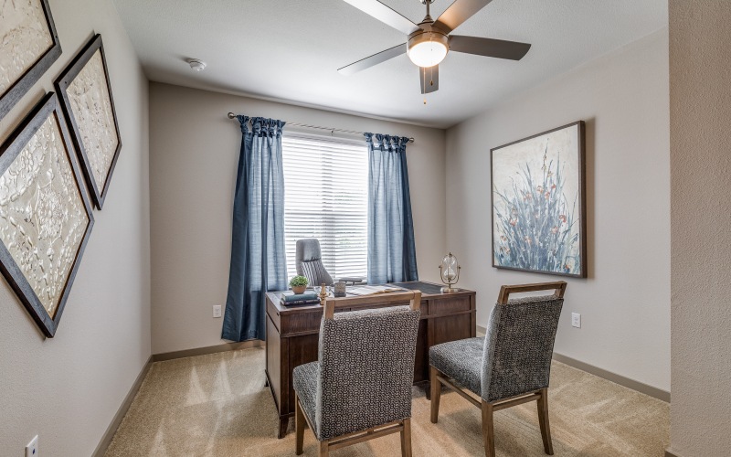 A room with plush carpet to set up a desk and chairs