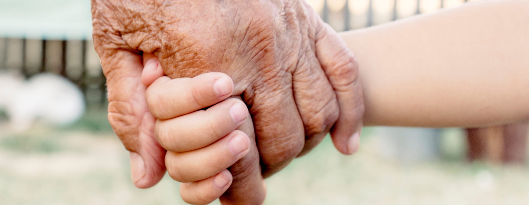 child and elder holding hands